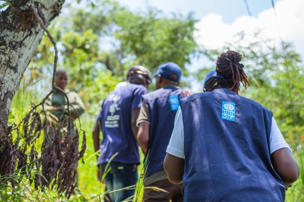 Group of people in blue vests gathered in a sunlit forest clearing.
