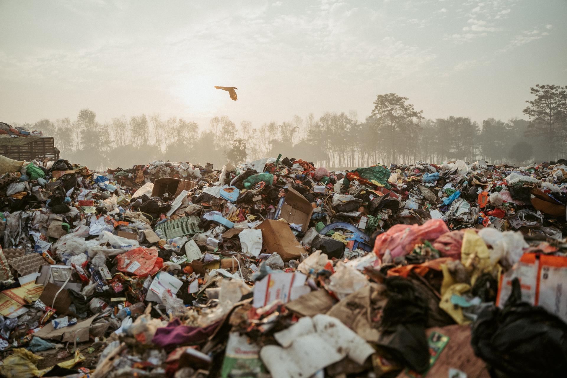 A sprawling landfill with piles of trash under a hazy sky; a bird flies overhead.