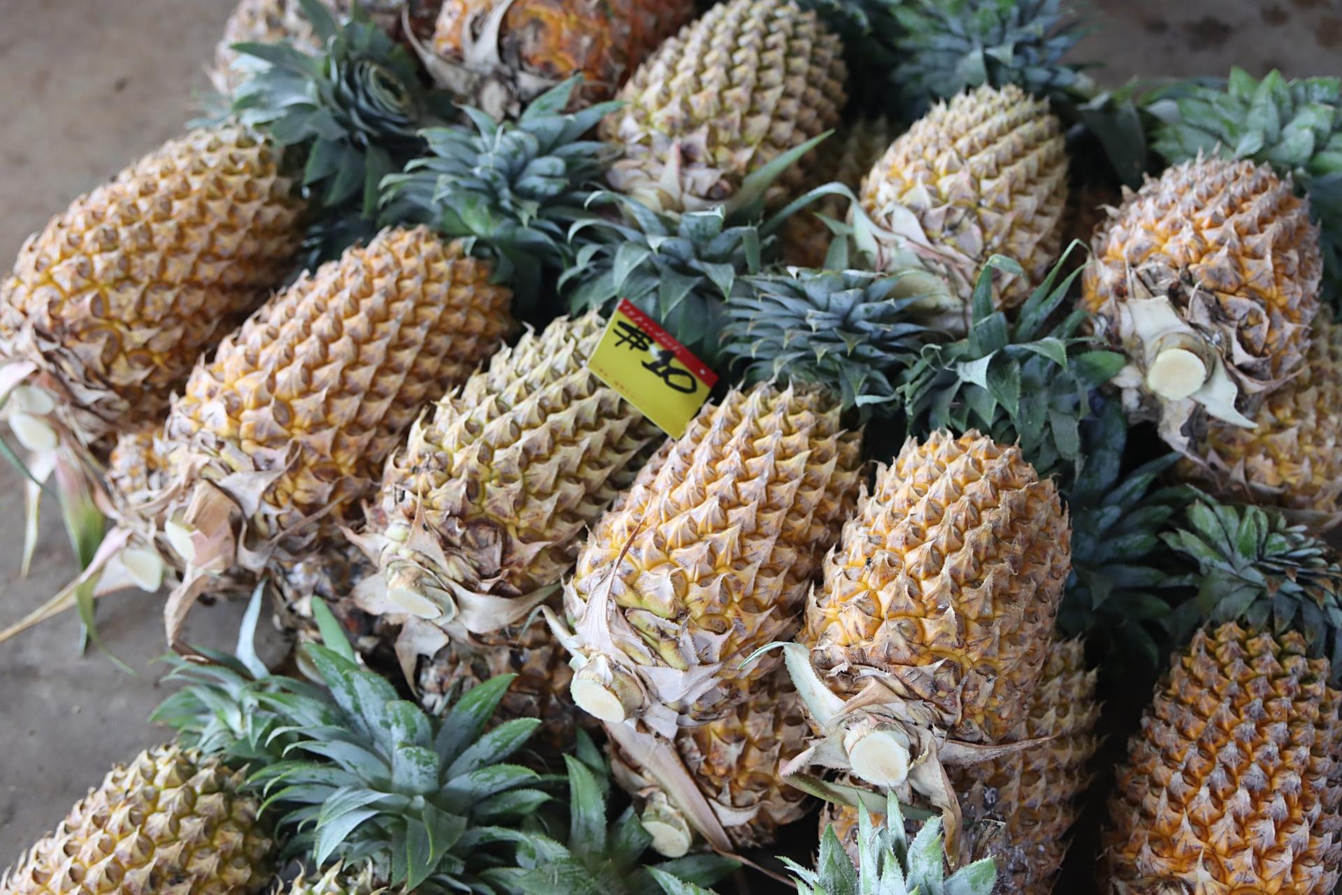 Row of pineapples with green crowns lined up on a market table.