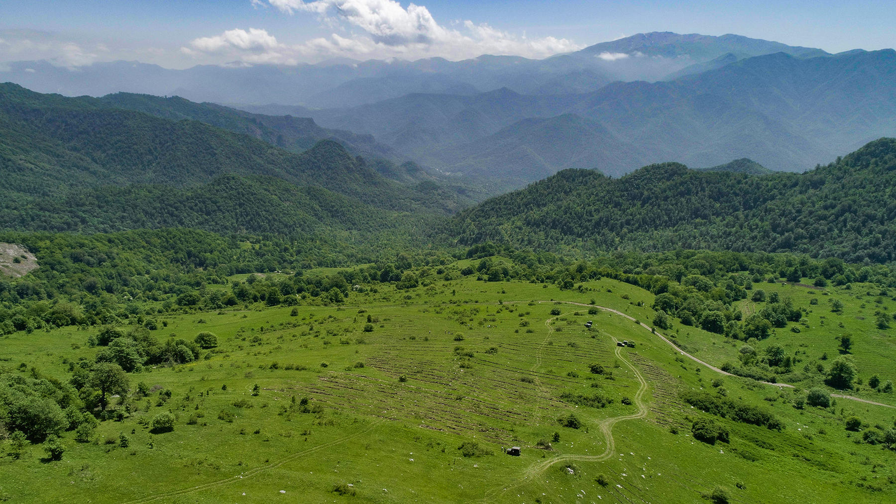 Photograph of lush valley with winding dirt path, sparse trees, and distant mountains.