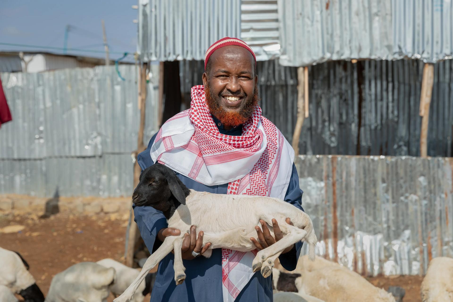 Person in pink scarf holding a light-colored dog among stray dogs near corrugated metal sheds.