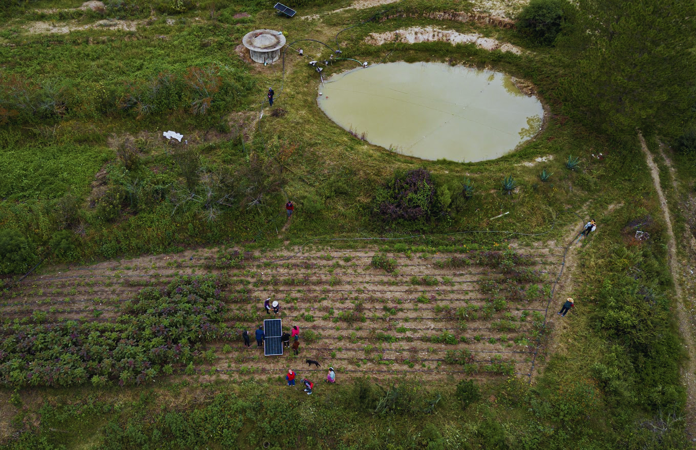 Aerial view of terraced garden plots around a circular pond, with several people nearby.