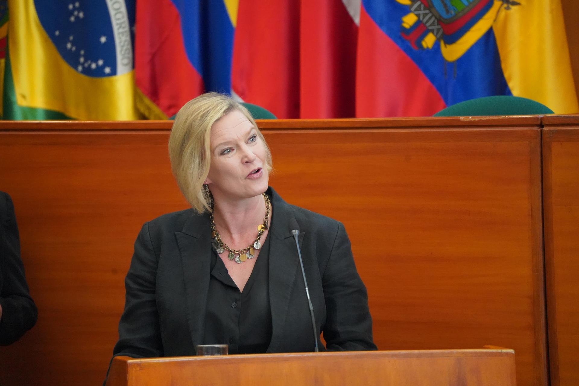 Speaker at a wooden podium in a formal chamber with flags in the background.