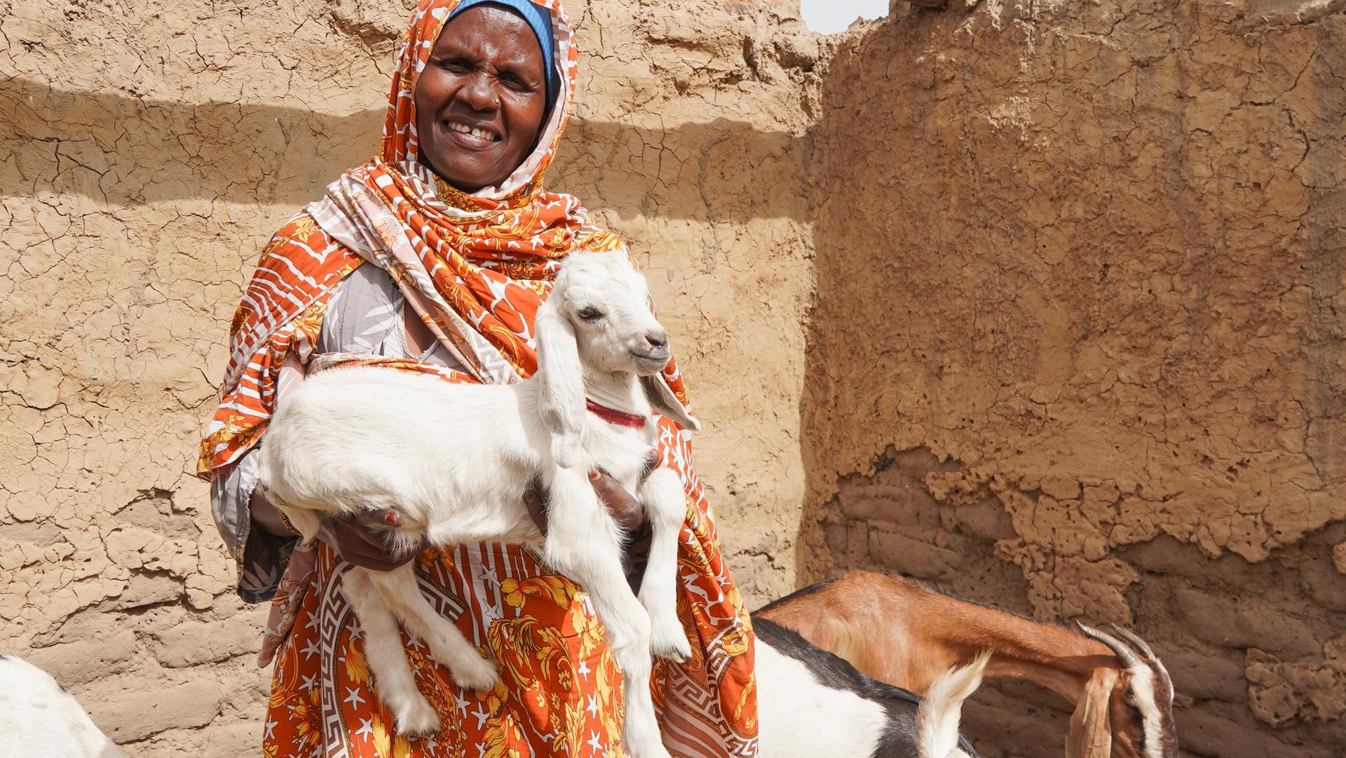 Photo: Person in orange patterned robe with scarf beside white goat and brown goat, beige stone wall behind.