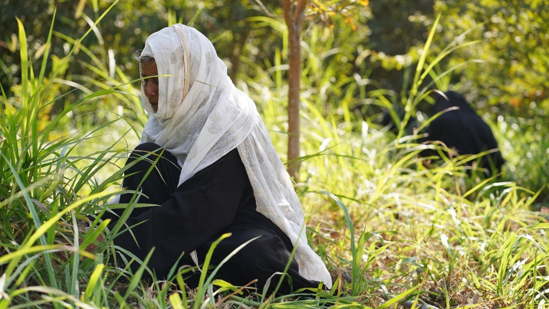 Two women in a sunlit grassy field; foreground woman in a white hijab and black outfit.