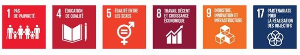 Graphic of the 17 Sustainable Development Goals icons in a row.