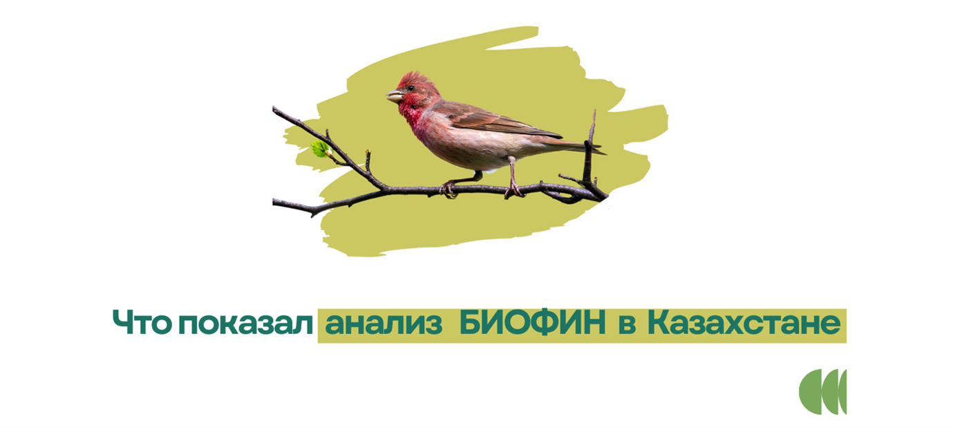 Small brown bird perched on a branch, with pale yellow-green background and Cyrillic caption.