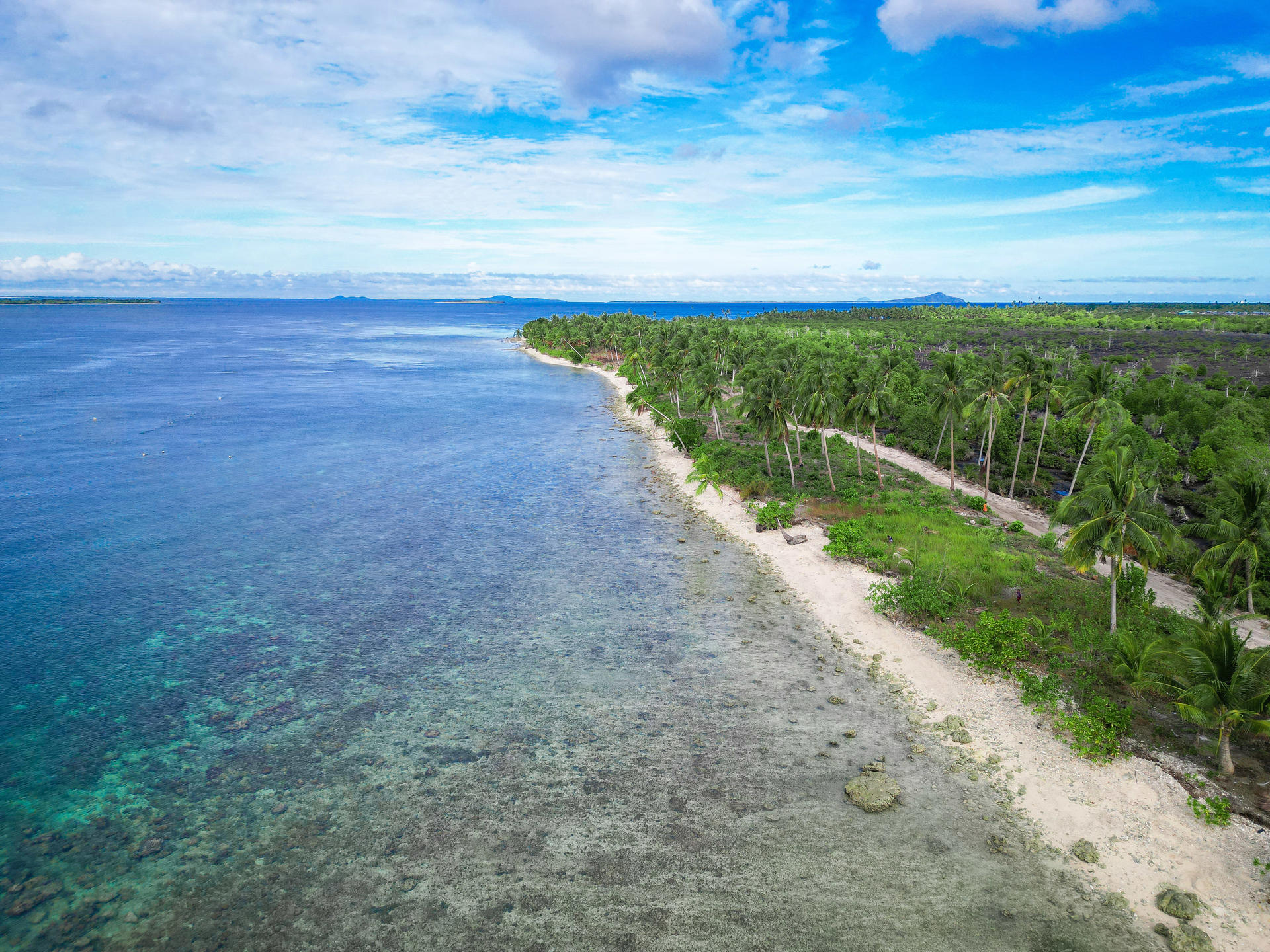Aerial view of a sandy beach with turquoise water and a pine forest along the coast.