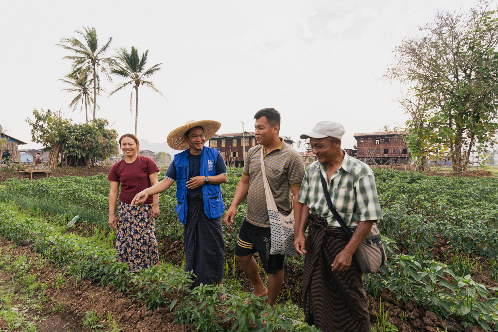 Group of farmers and a UNDP officer standing in a field with rows of crops and palm trees in the background.