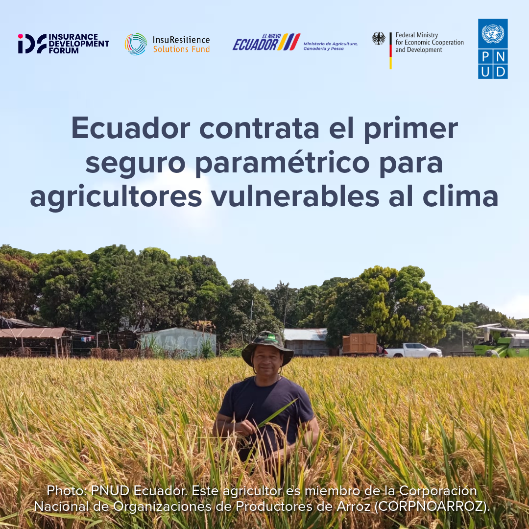 Photograph of a man in a golden crop field; banner promotes Ecuador climate insurance.