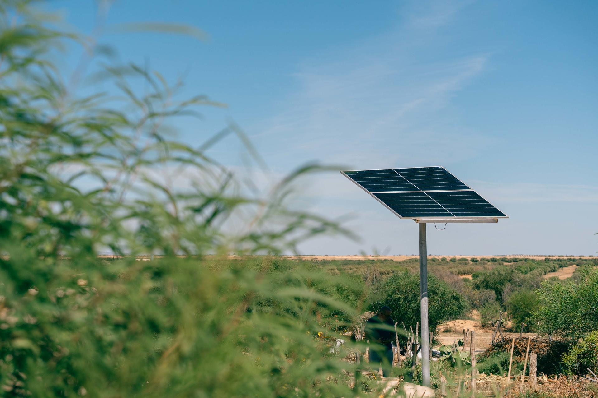 Solar panel on a pole in a grassy field under a blue sky.