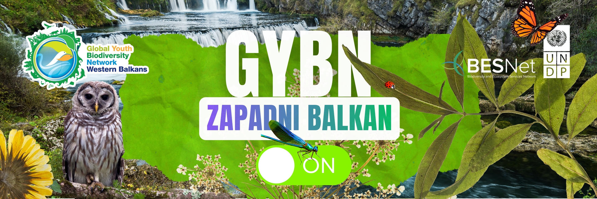 Banner with an owl, sunflower, and lush greenery beside the GYBN logo.