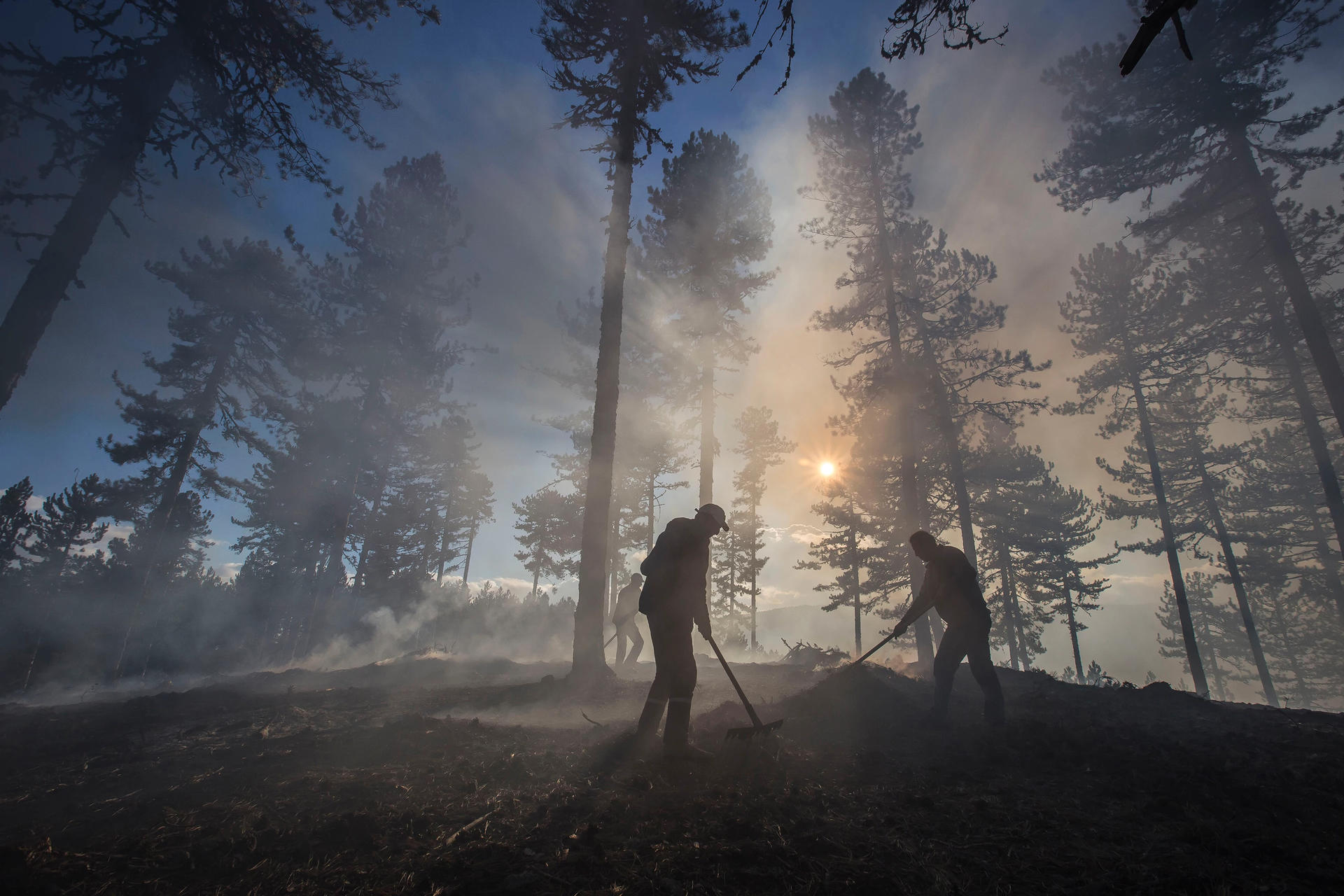 undp-tr-turkey-forest-fire-sdg15-silhouettes-smoke.jpg