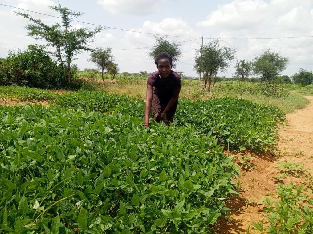 Anna at her vegetable garden in kotido district.