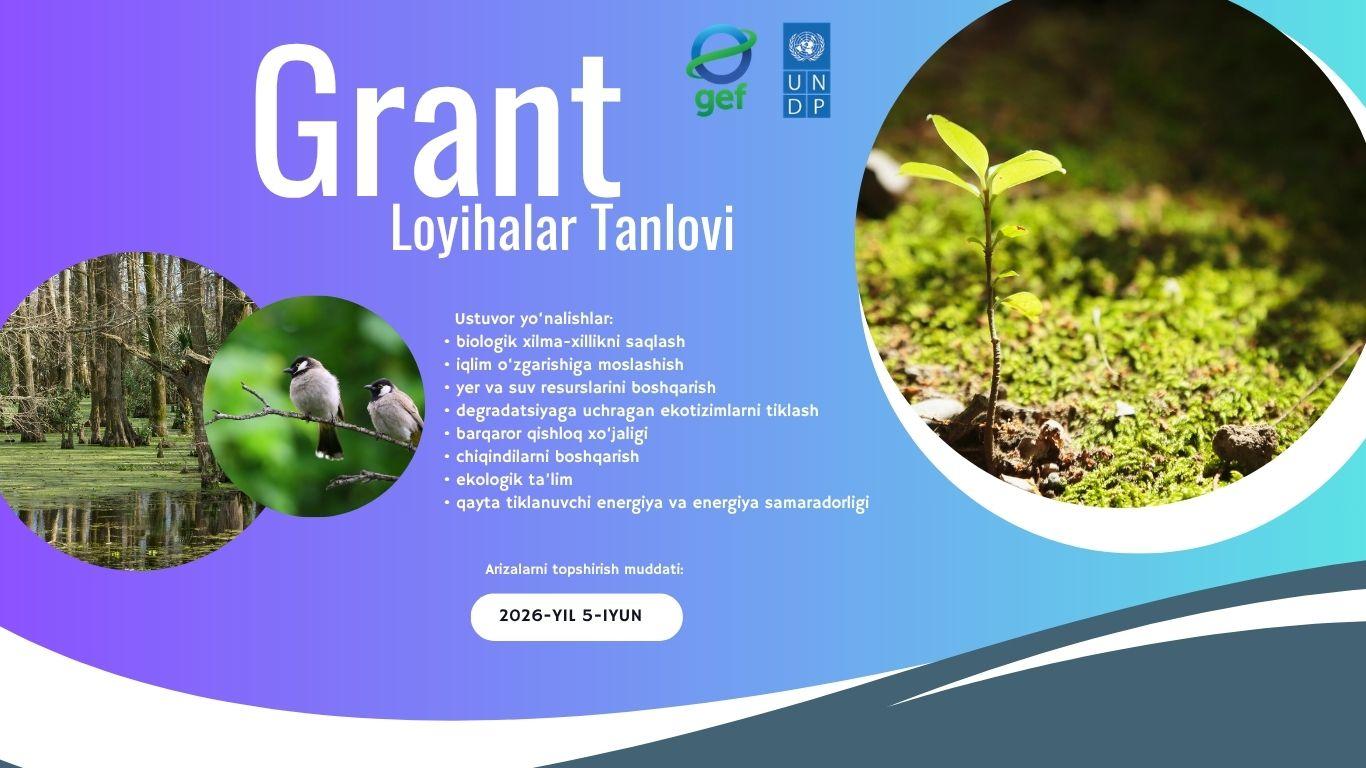 Colorful grant banner with circular photos of a forest and a seedling, and a Read More button.