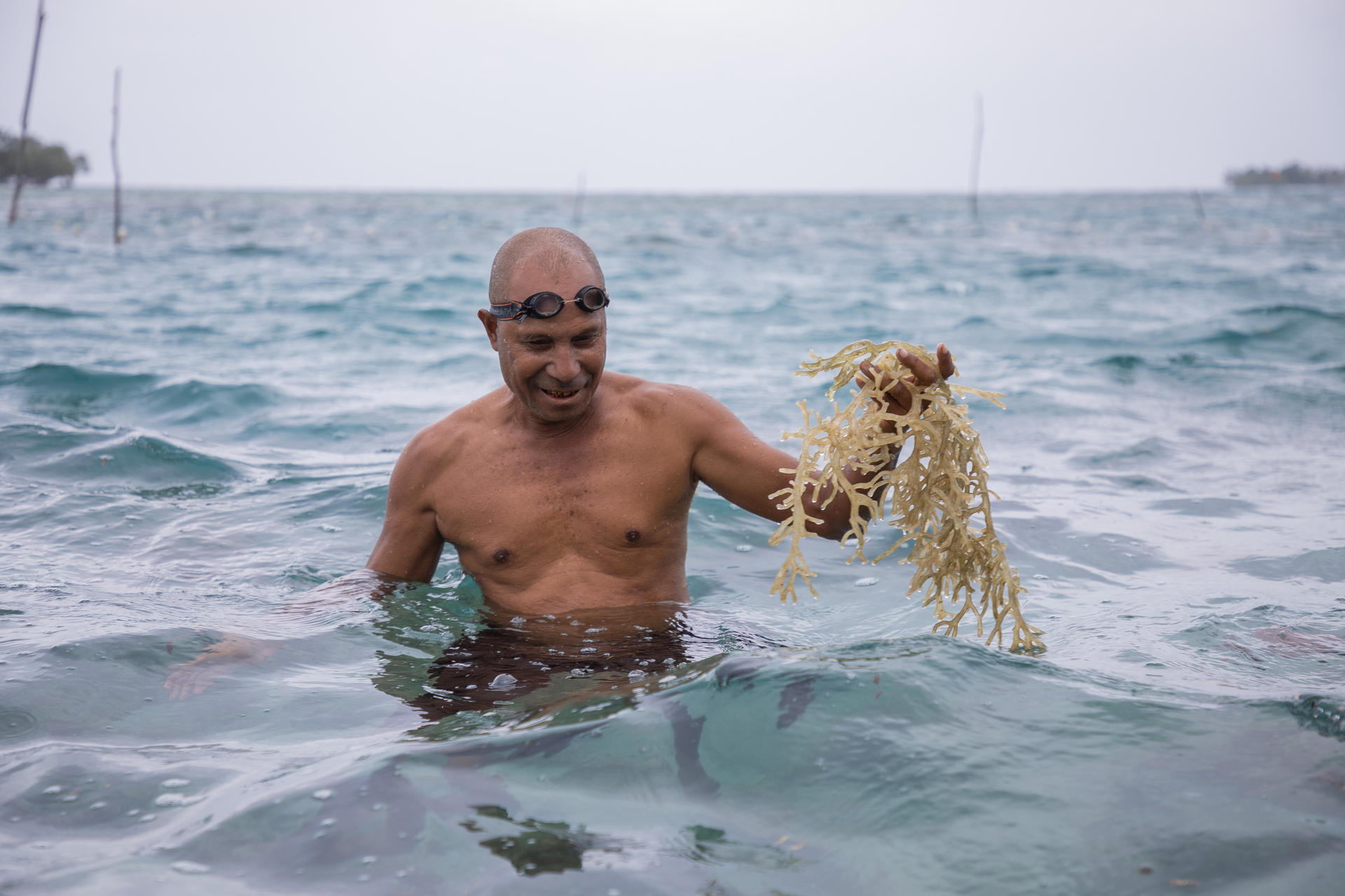 Bald, shirtless man chest-deep in turquoise water, holding seaweed.