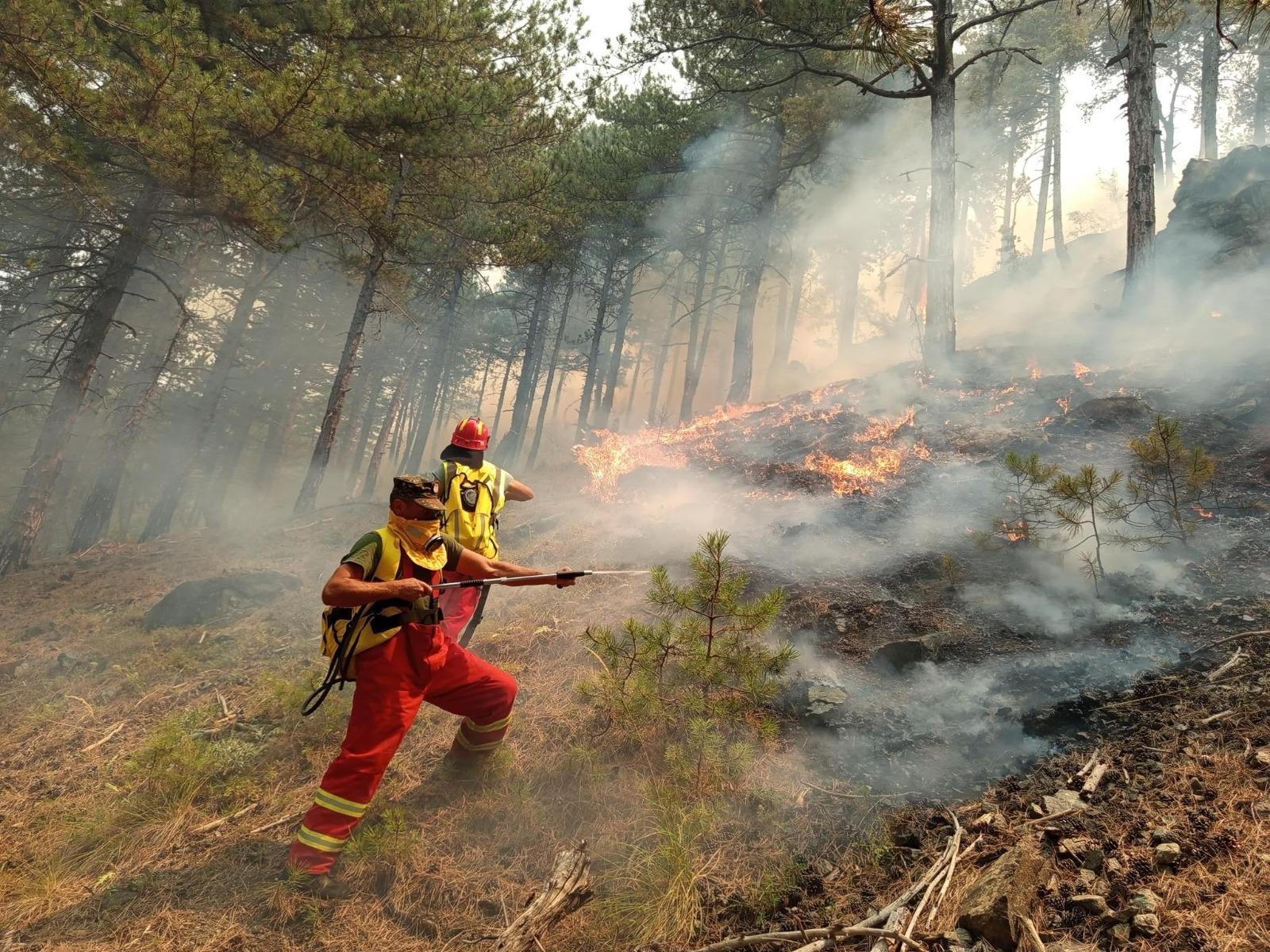On the front lines against last year’s devastating wildfires: Albanian first responders displayed immense courage in the face of crisis.