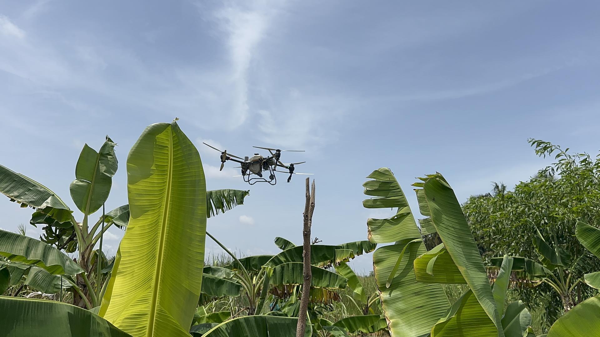 UNDP Ghana_Drone.jpg