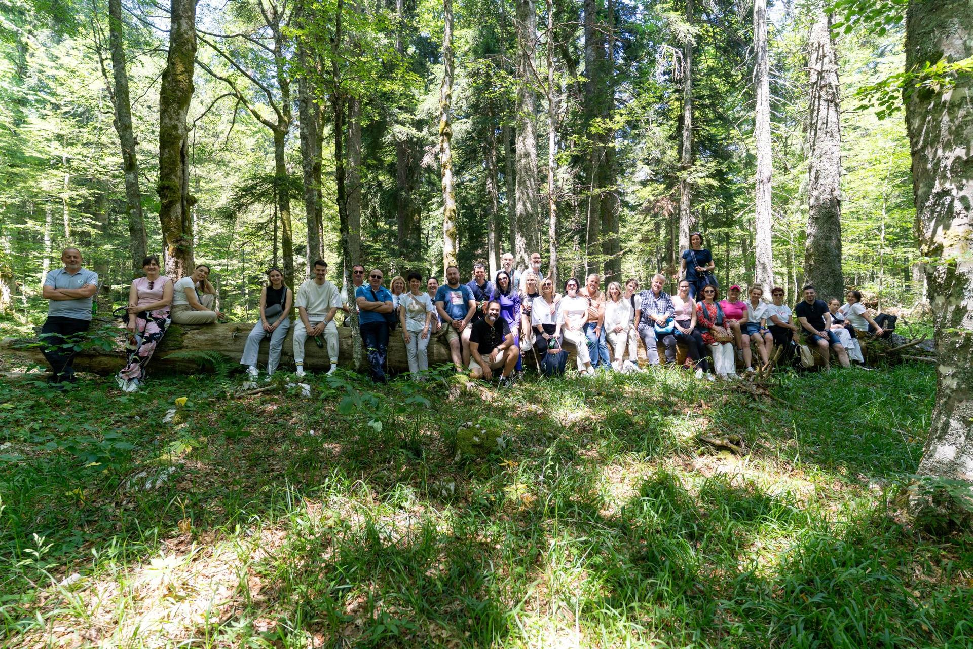 Large group seated in a sunlit forest clearing.