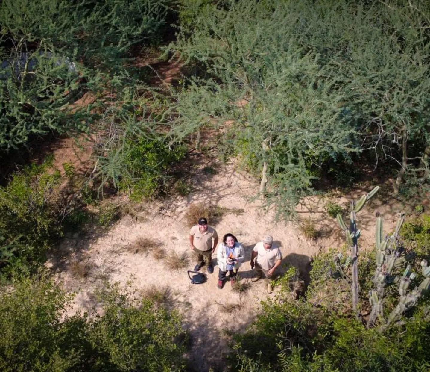 Aerial view of three people standing on a sandy clearing amid trees.
