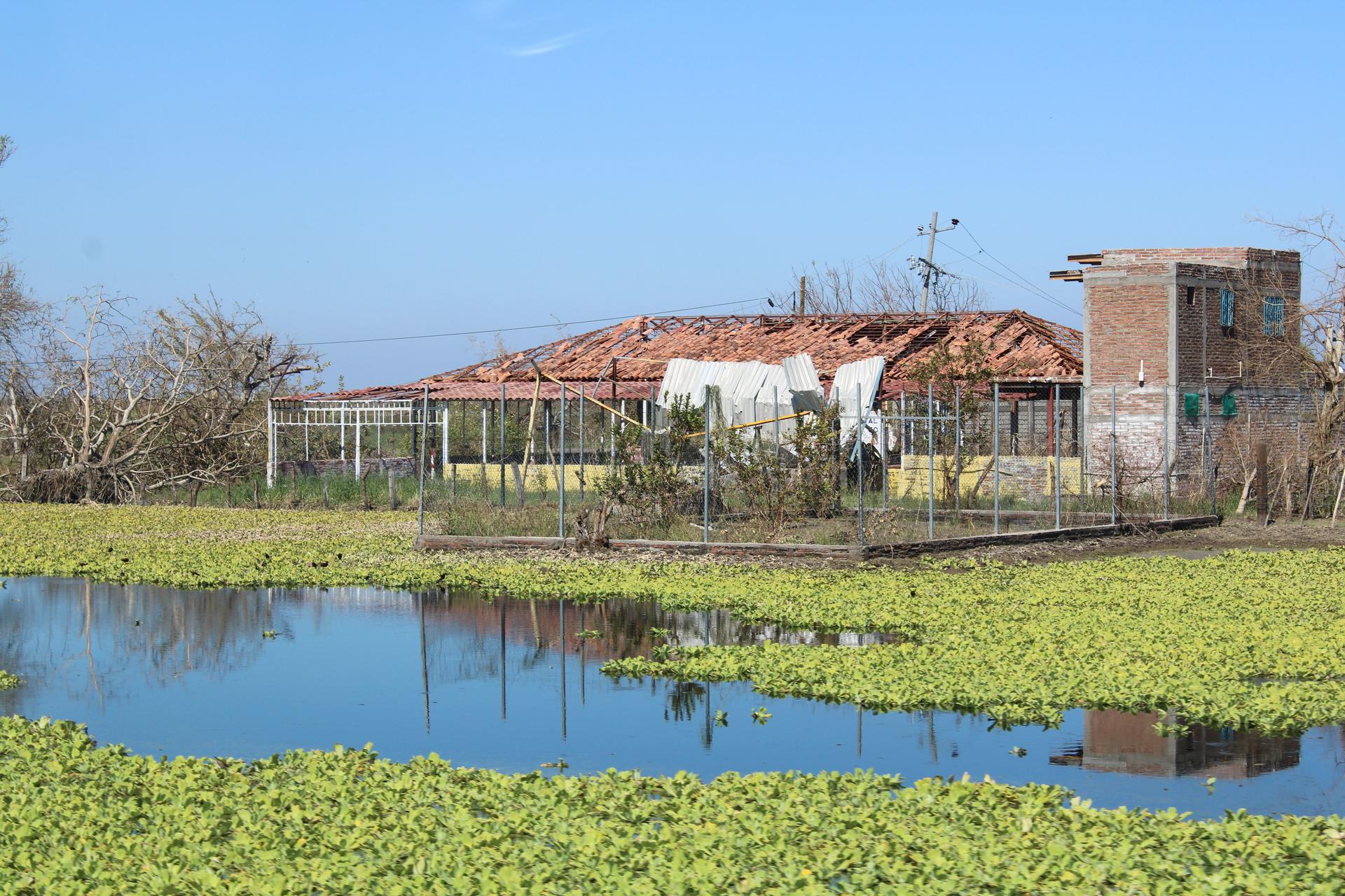 Pond with aquatic plants; red-roofed building and brick construction in a rural landscape.