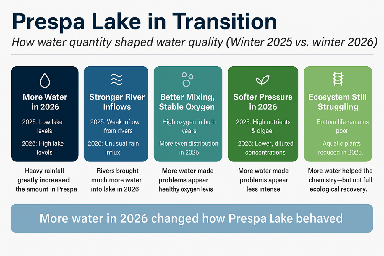 Infographic: Prespa Lake in Transition, showing how water quantity shapes water quality.