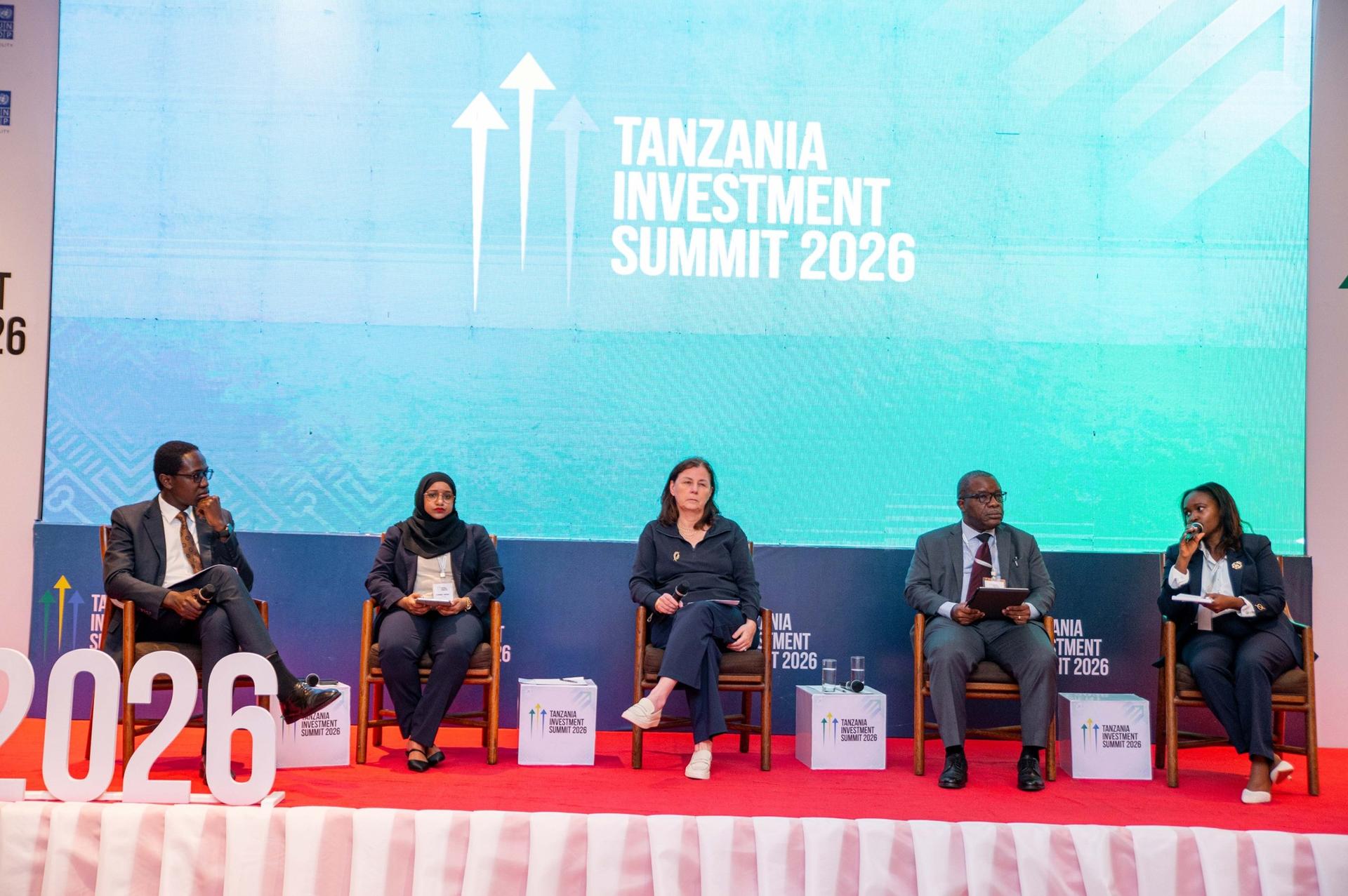 Five panelists seated on stage at the Tanzania Investment Summit 2026, with a blue backdrop.