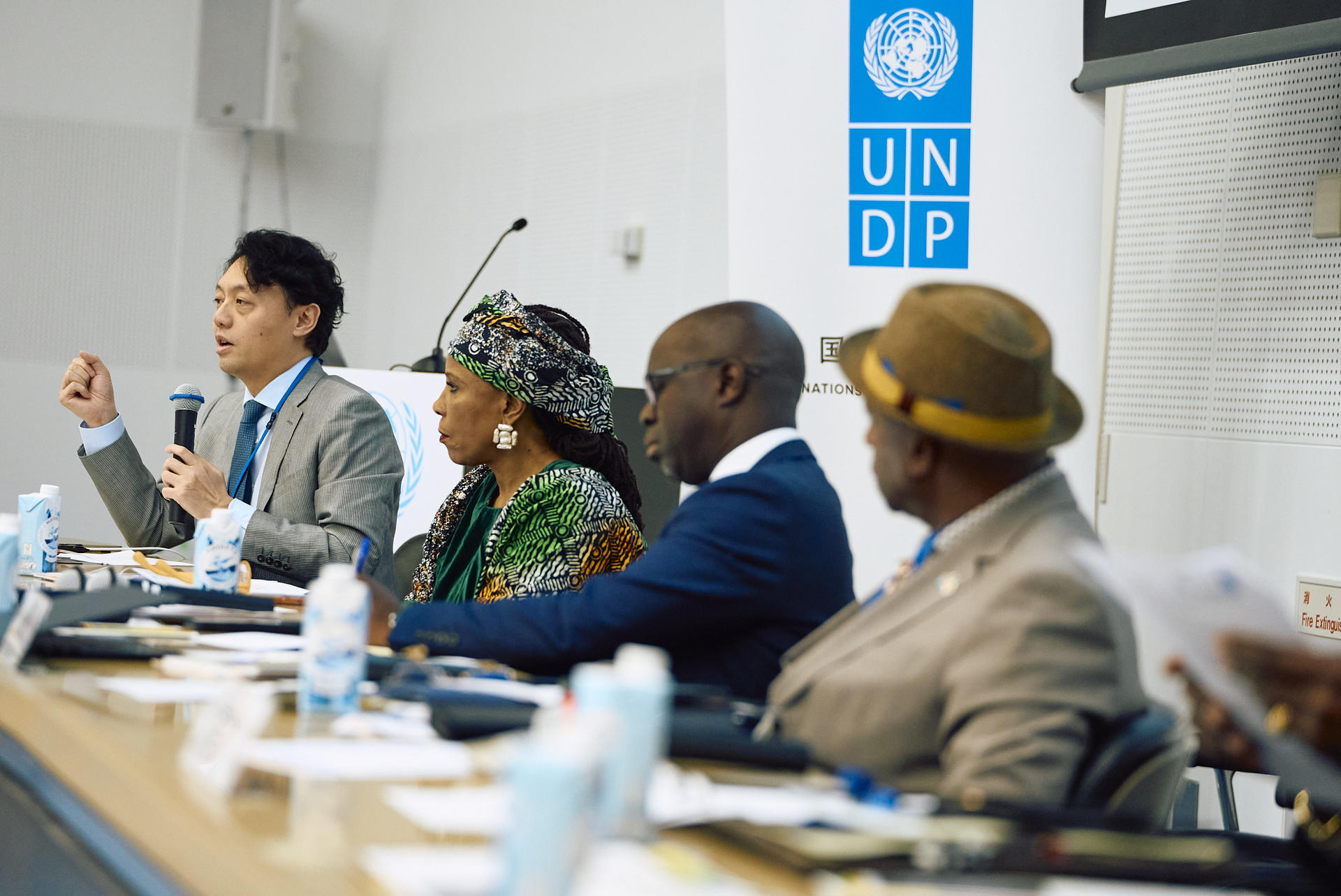 Diverse panelists at a conference table; UNDP banner in background.