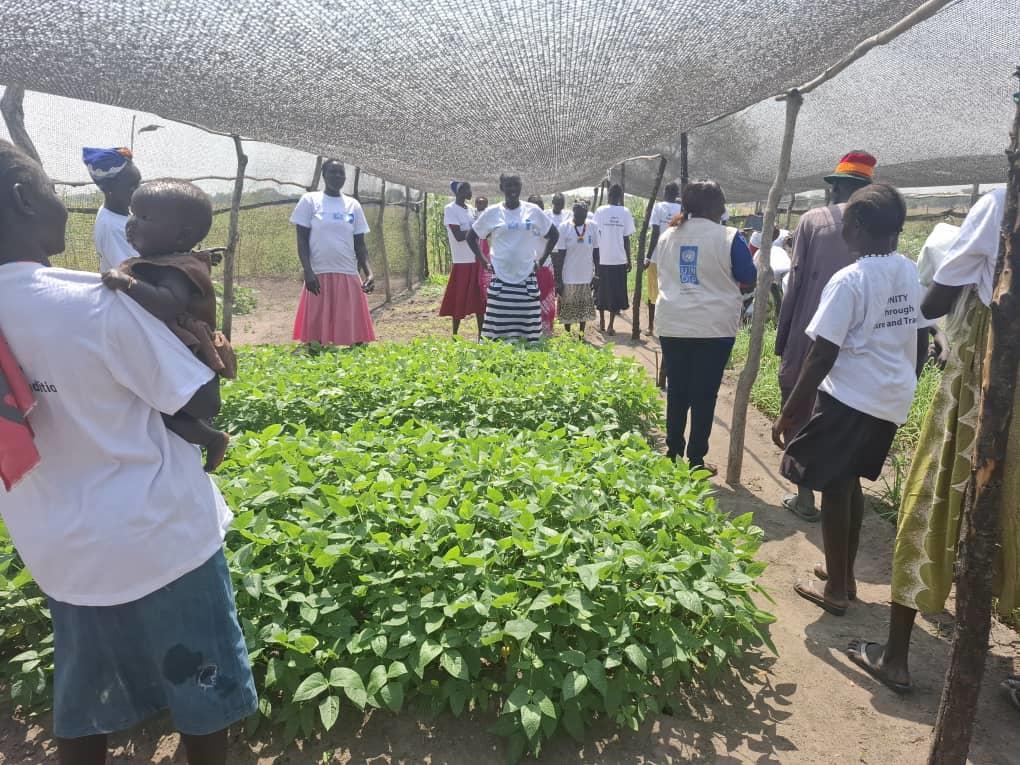 Group of people on an outdoor field tour under a shade canopy, inspecting rows of leafy greens.