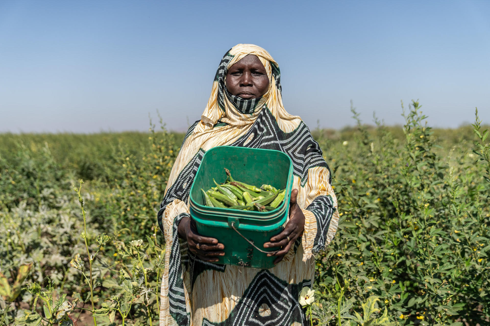Farmer in a field holding a green bucket of leafy greens, wearing a patterned robe and headscarf.