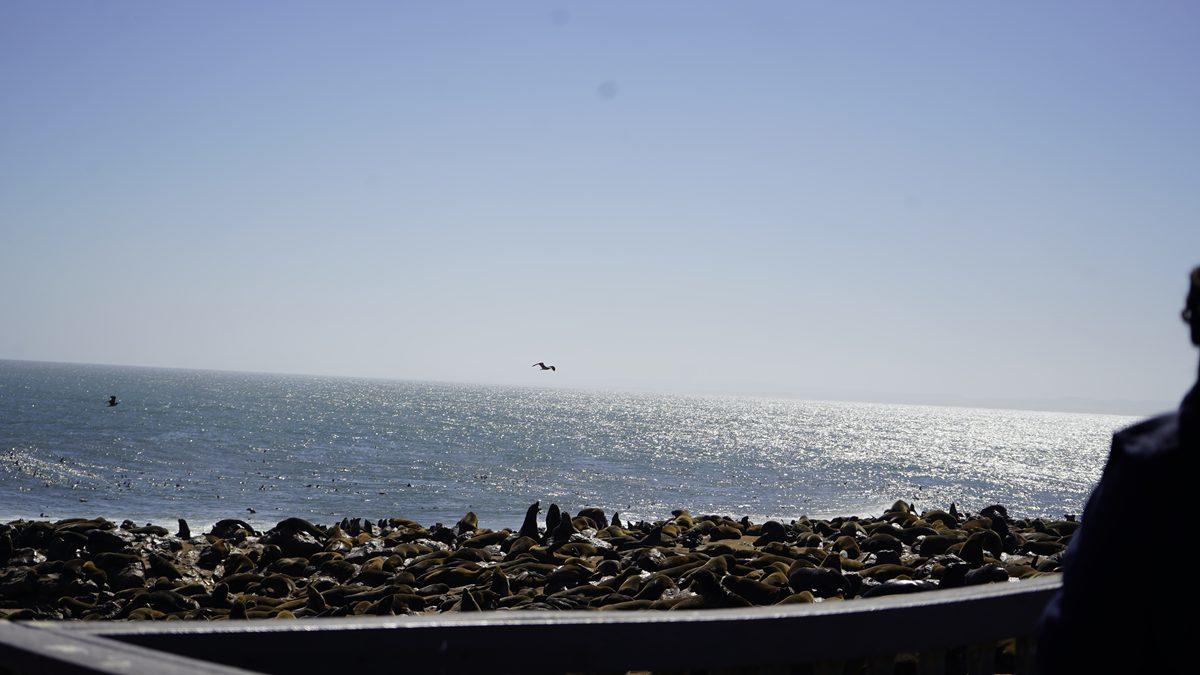 Seaside view with a rocky shore, calm blue sea, and clear sky; dark silhouette on the right.