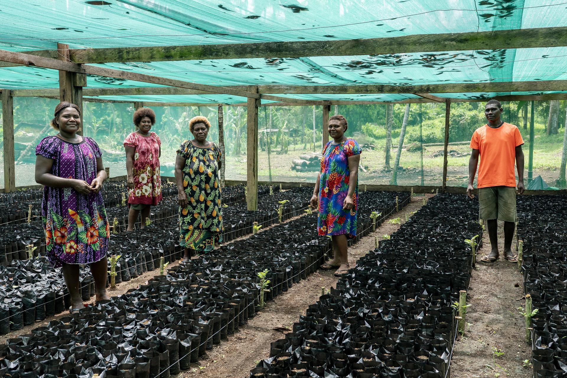 Photograph of a group of people in a plant nursery beside rows of seedling trays under shade net.