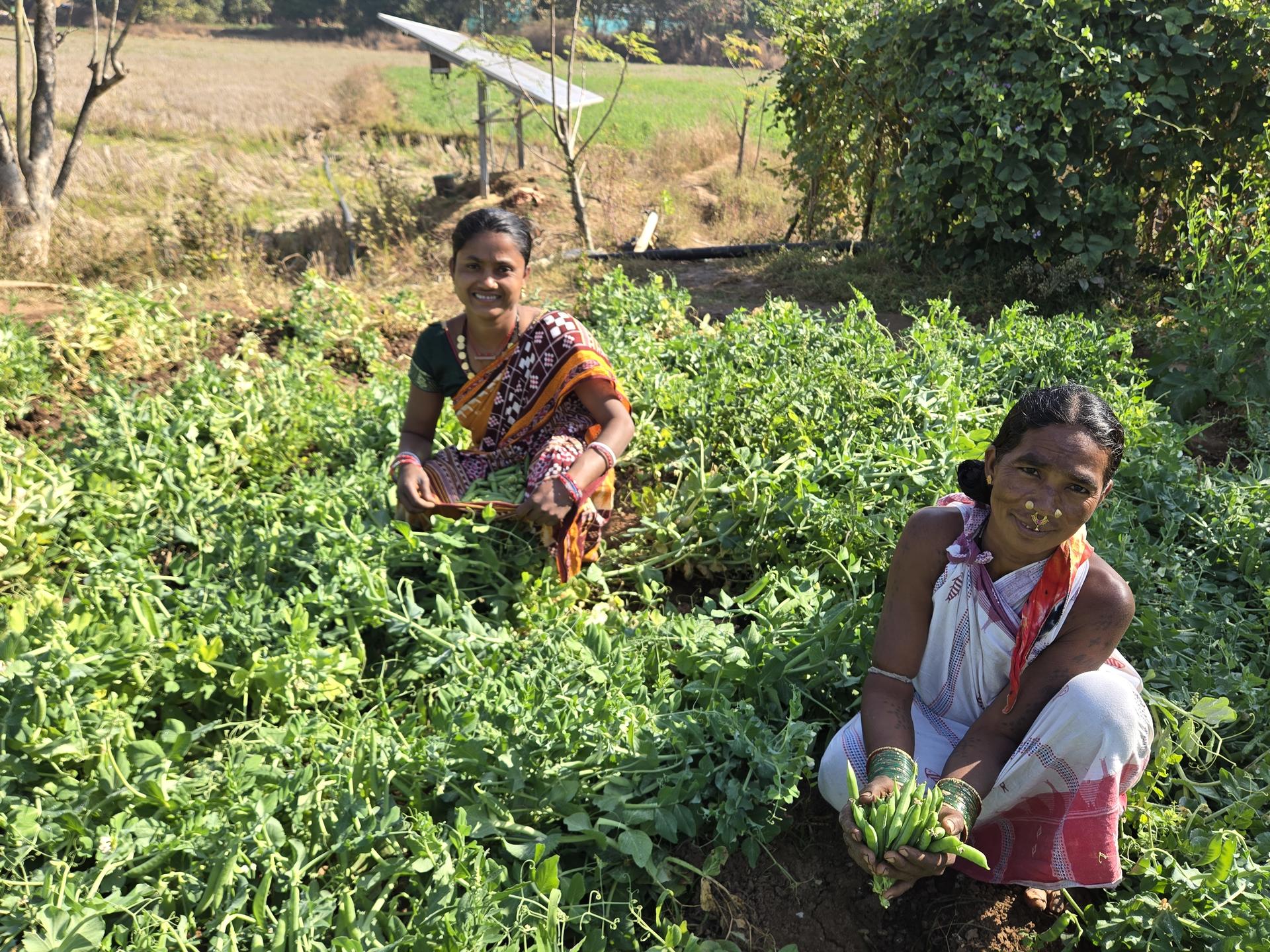 Two women standing among green crops in a sunny field, smiling at the camera.