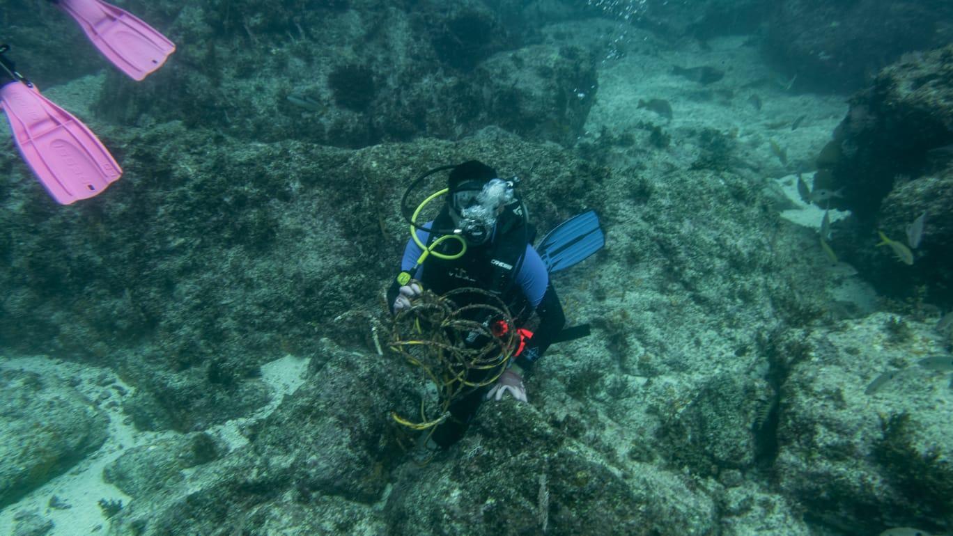 Underwater scene with a scuba diver in a wetsuit exploring a coral reef.