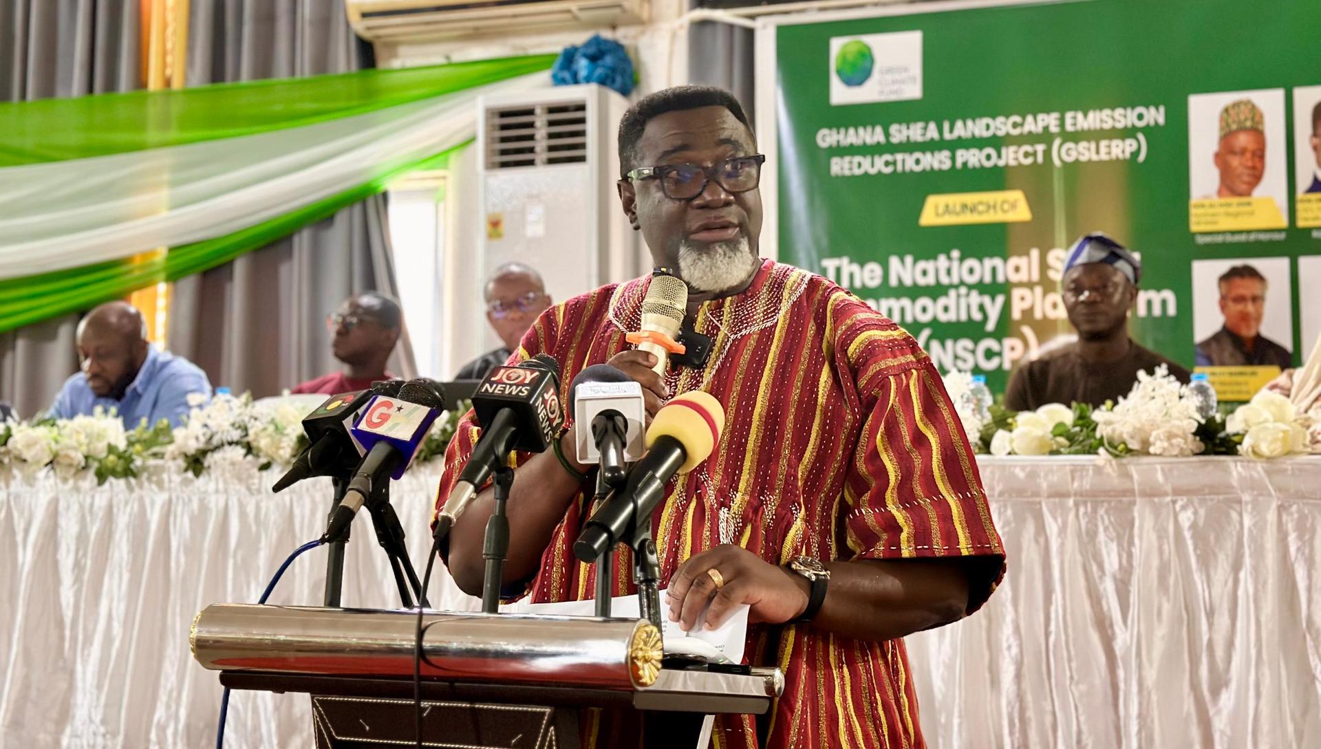 UNDP Ghana_GSLERP.jpeg