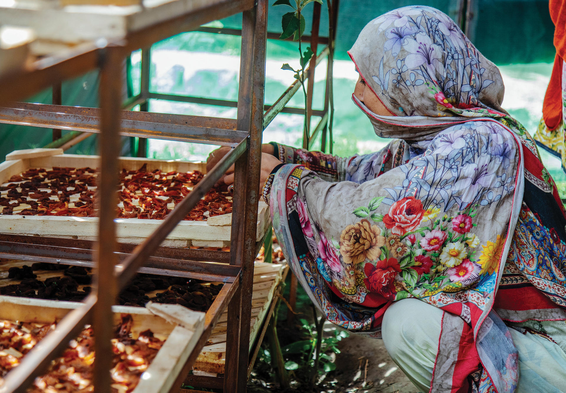 Person in a floral headscarf at a market stall examining trays of dates.