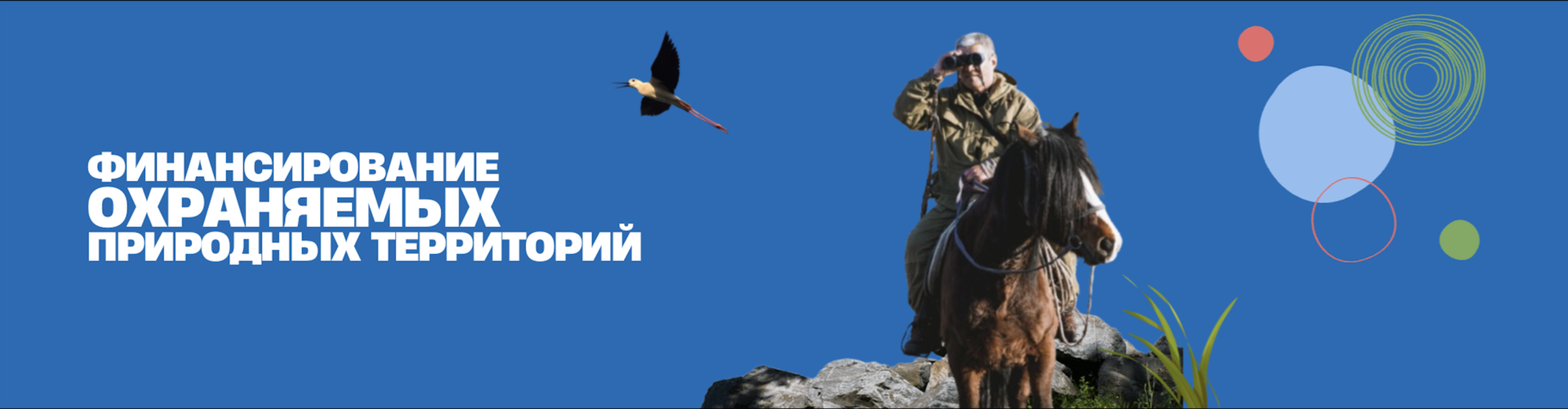Blue banner with a bronze horse and rider statue on the right, white Cyrillic text on the left.