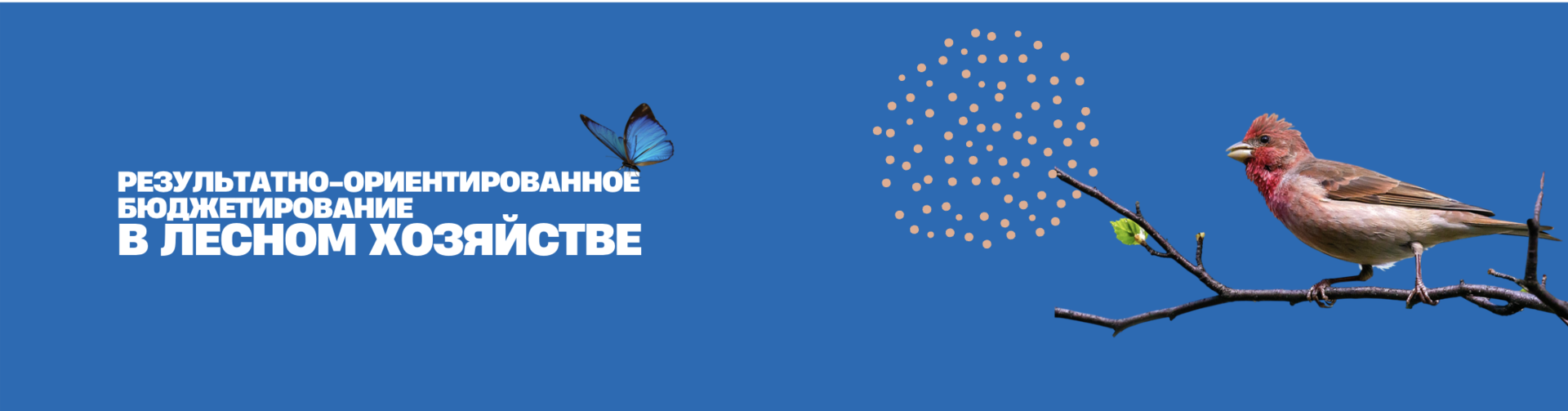 Blue banner with white logo and Cyrillic text on left, red bird on a branch on the right.