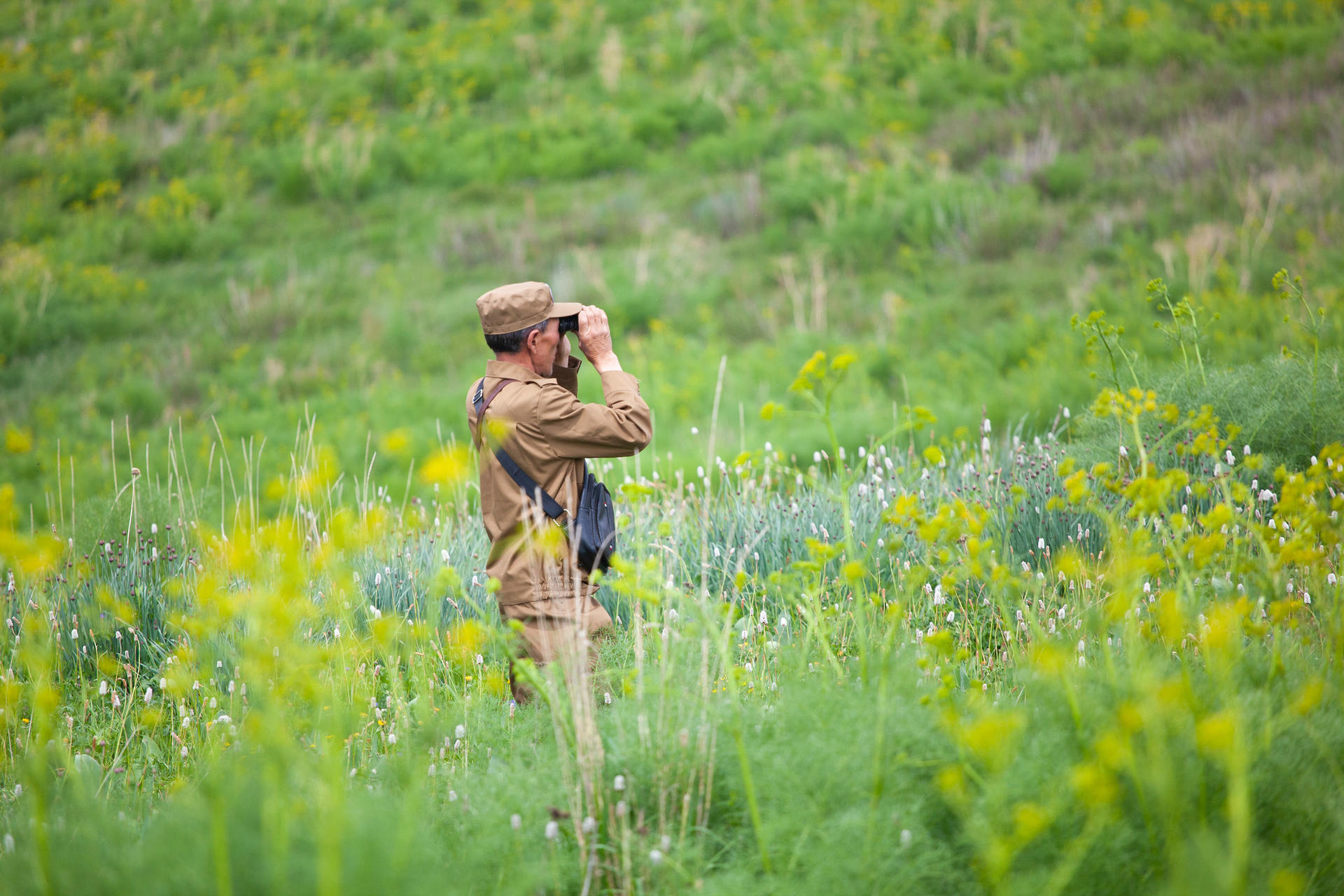 Couple embracing in a sunny meadow filled with yellow and purple wildflowers.