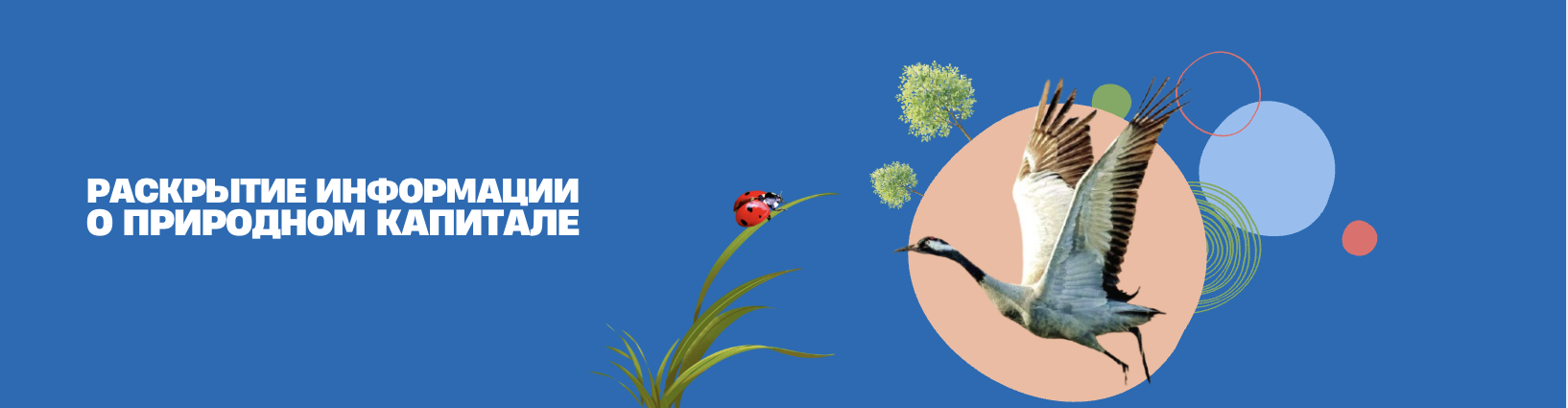 Blue banner with white Cyrillic text on the left, plant graphic, and pink circle with a person illustration on the right.