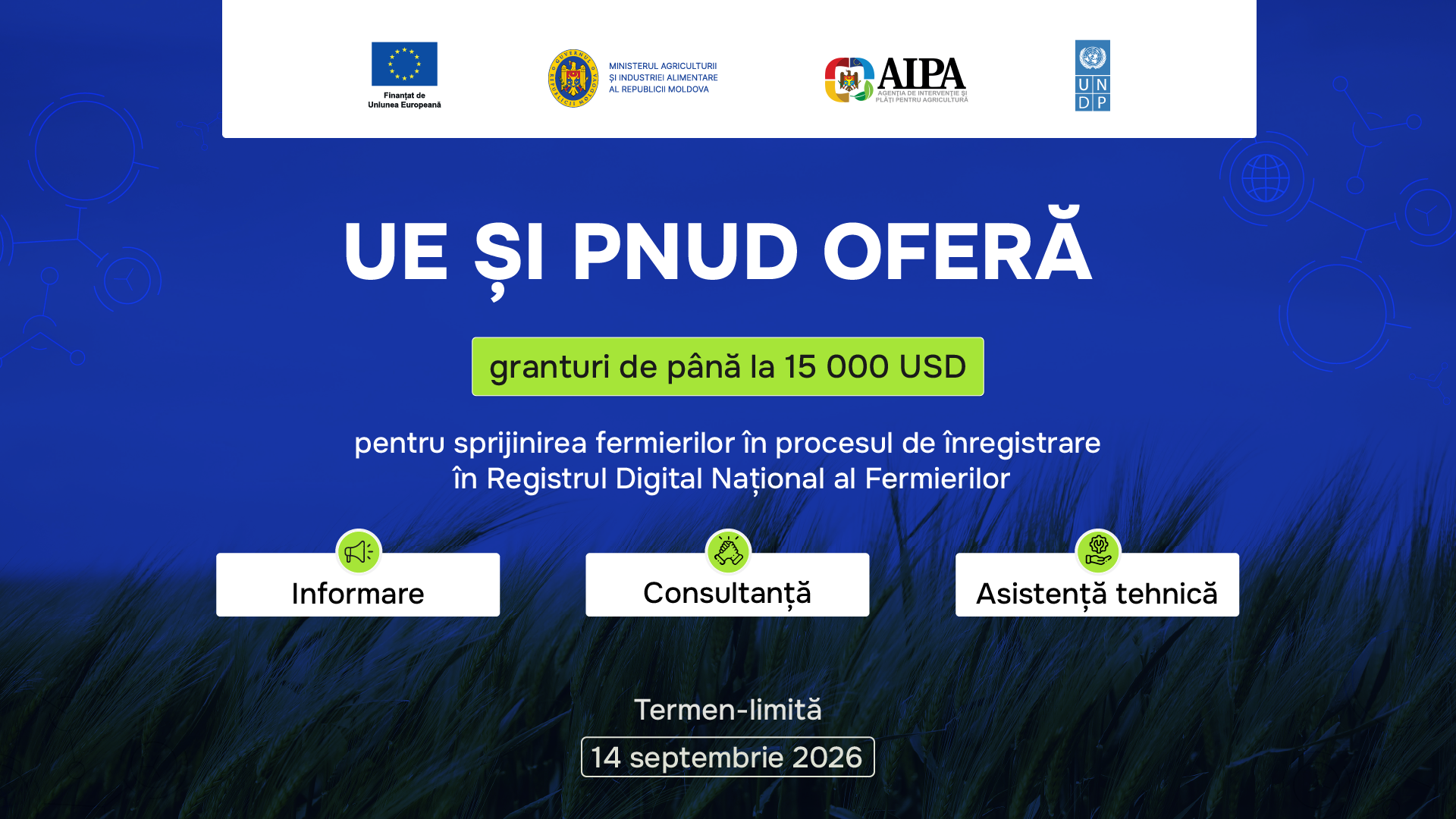 Blue EU-UNDP banner with three white cards labeled Information, Consultation, Technical assistance.