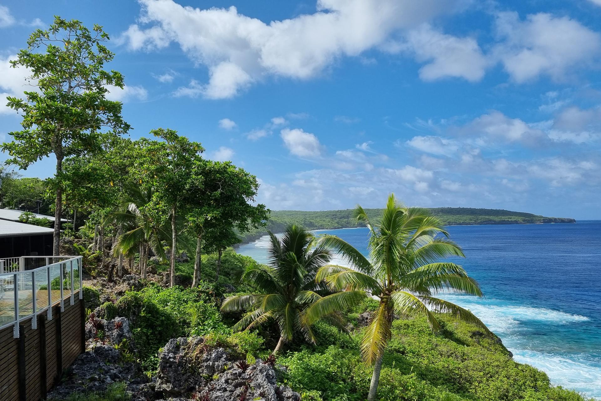 Photo: Viewing deck on rocky coast with palm trees, turquoise sea, and blue sky.