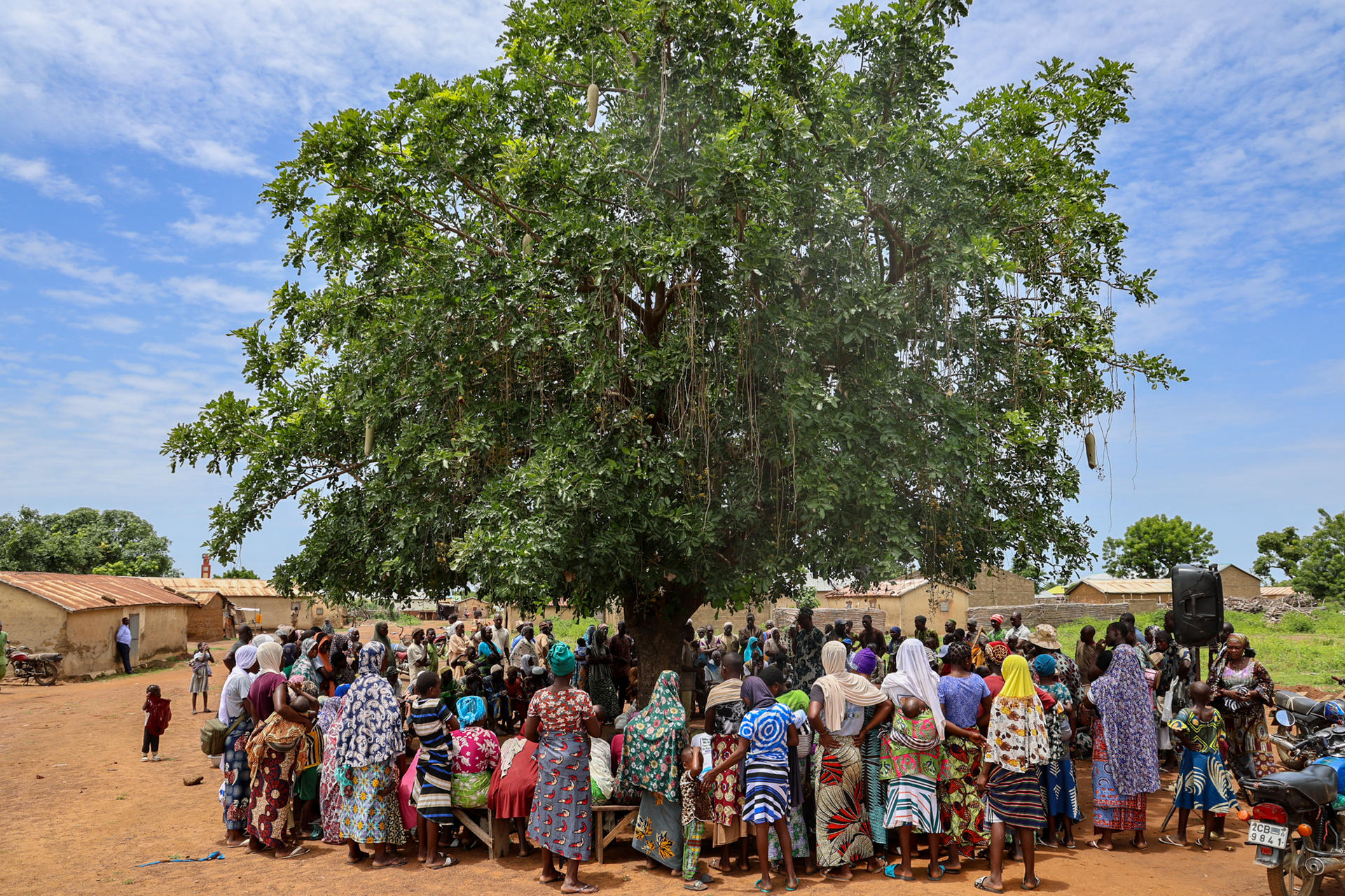 Group of villagers gathered under a large tree in a dusty rural village, huts in background.éunie 