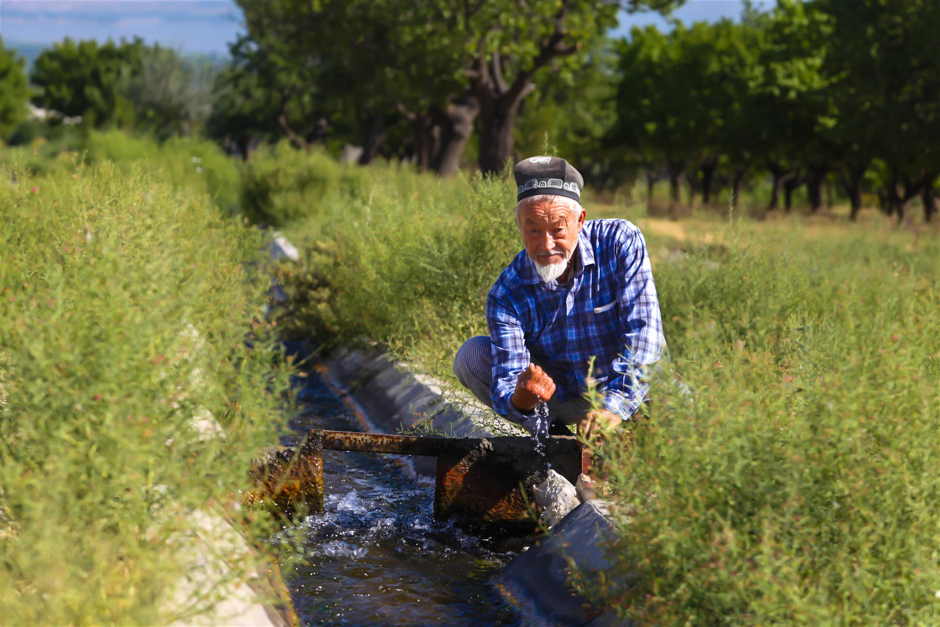 Man in blue plaid shirt kneels by a ditch in a sunlit field, handling a tool.