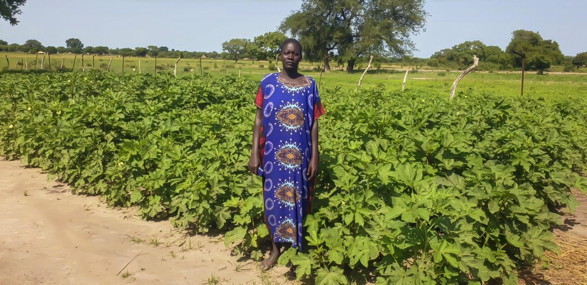 Photograph of a person in a blue patterned dress standing on a dirt path in a green crop field.