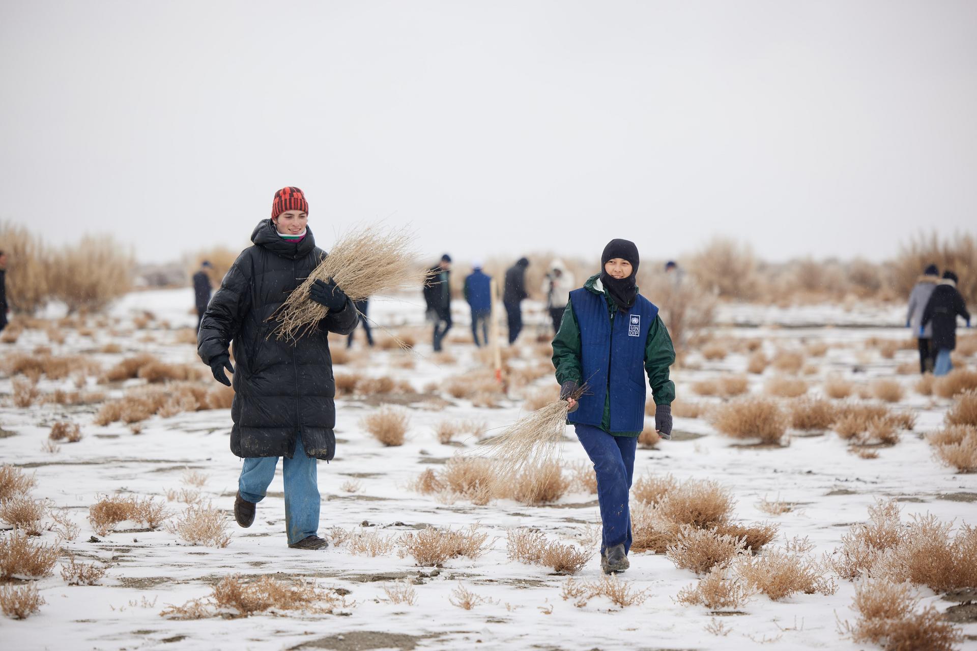 Photo of people in winter coats walking through a snow-covered field with tall grasses.