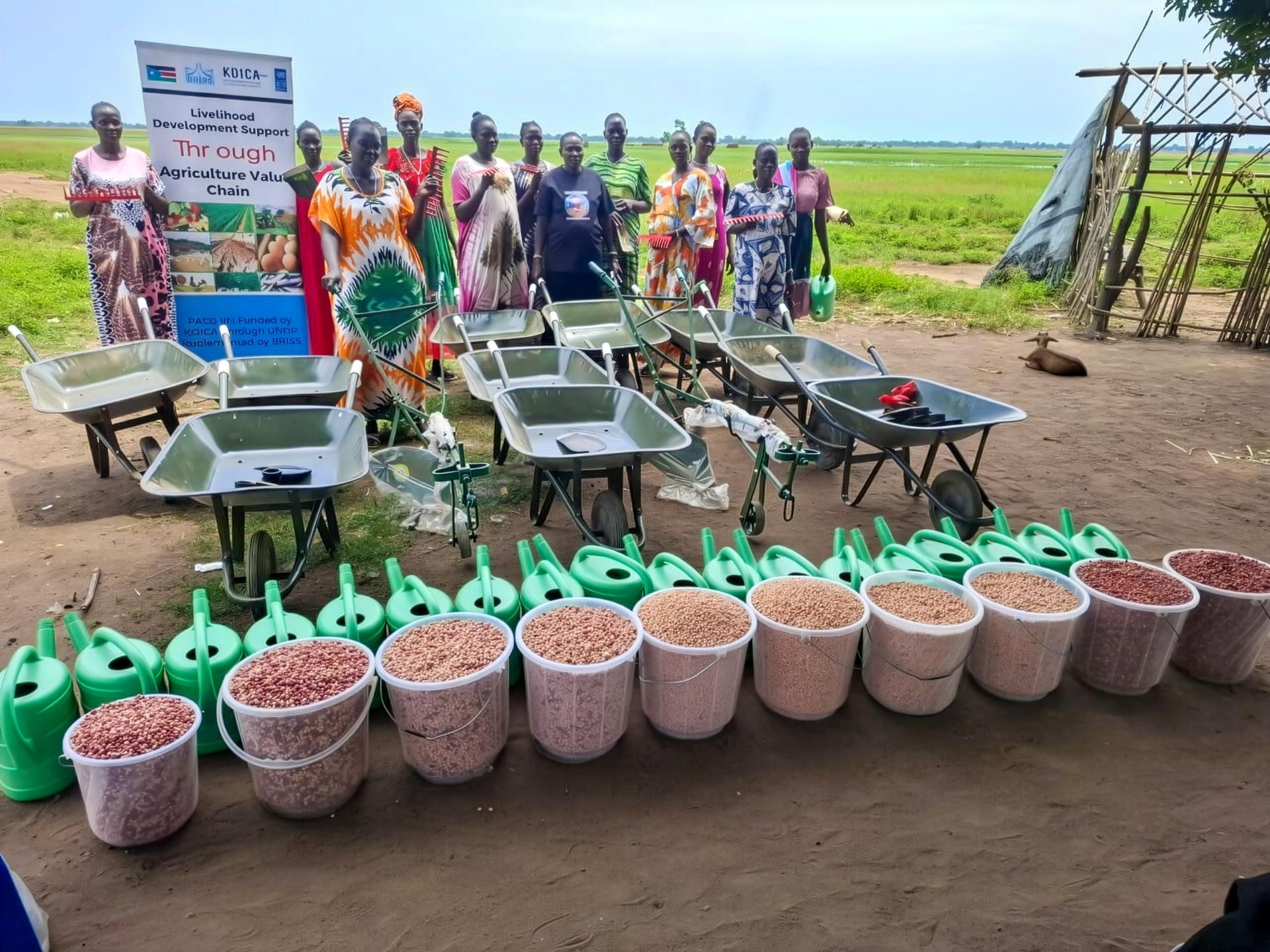 Volunteers stand behind rows of pink pots filled with seedlings at an outdoor planting event.