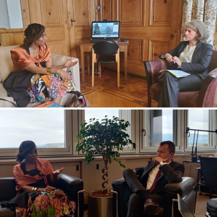 Visit of Ahunna Eziakonwa in Geneva