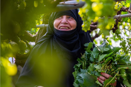 yemen