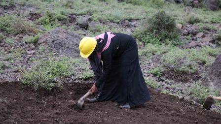The Food Security Response and Resilience Project focuses on supporting female-headed households in its various projects- Taiz. | Photo credit: UNDP Yemen 2022.